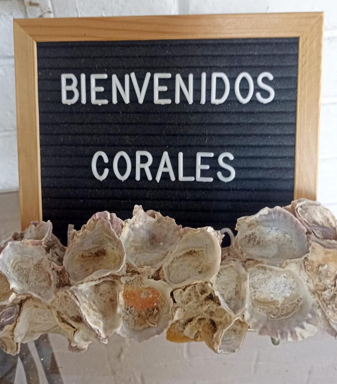 Hostal Corales Tolú Eksteriør billede