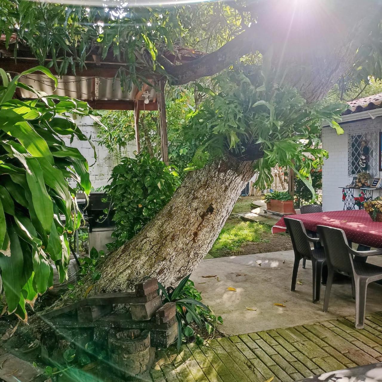 Hostal Corales Tolú Eksteriør billede